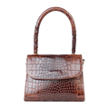 FLAIR - BROWN