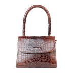 FLAIR - BROWN